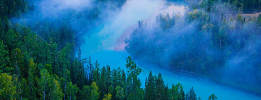 社會效益：環(huán)保 + 減碳+醫(yī)療三重價值